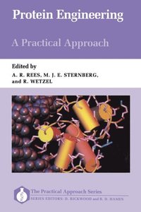 Protein Engineering: A Practical Approach