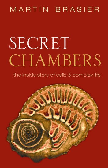 Martin Brasier - Secret Chambers, Inbunden. Tillgänglighet: Lägg i varukorg