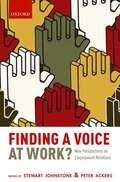 Finding a Voice at Work?