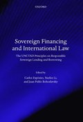 Sovereign Financing and International Law