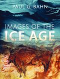 Images of the Ice Age