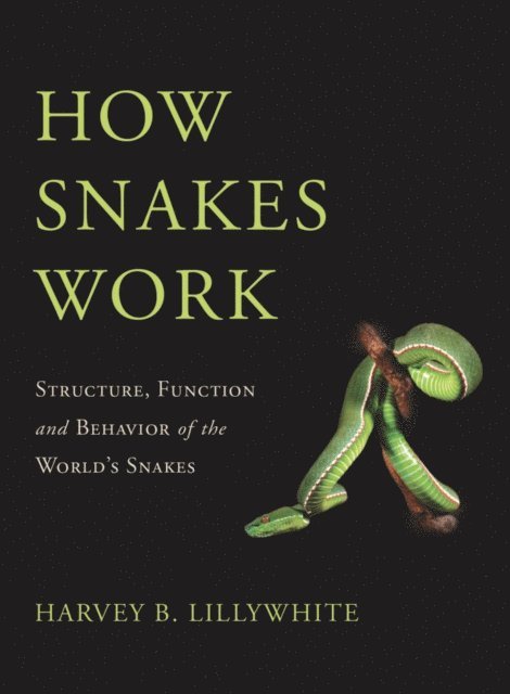 Harvey B. Lillywhite - How Snakes Work, E-bok