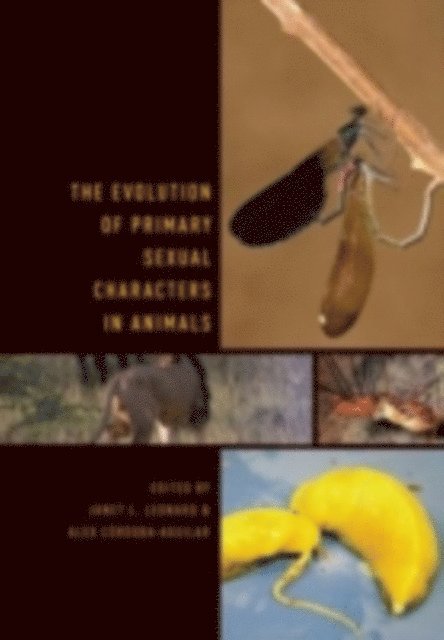 Alex Cordoba-Aguilar, Janet Leonard - Evolution of Primary Sexual Characters in Animals, E-bok