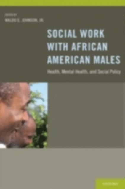 Waldo E. Johnson Jr. - Social Work With African American Males, E-bok