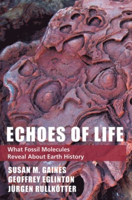 Jurgen Rullkotter, Geoffrey Eglinton, Susan M. Gaines - Echoes of Life, E-bok