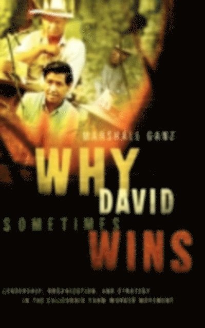 Marshall Ganz - Why David Sometimes Wins, E-bok