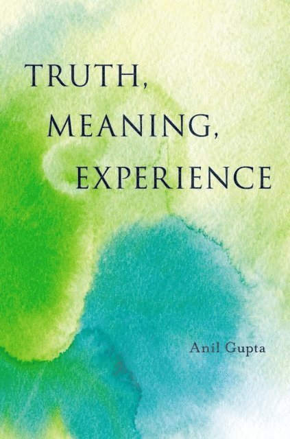 Anil Gupta - Truth, Meaning, Experience, E-bok
