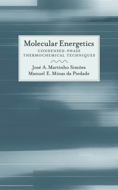 Manuel Minas da Piedade, JosA(c) A. Martinho SimAues - Molecular Energetics, E-bok