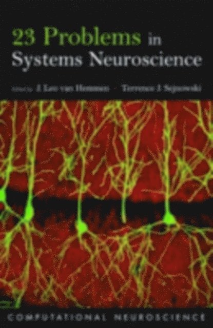 Terrence J. Sejnowski, J. Leo van Hemmen - 23 Problems in Systems Neuroscience, E-bok