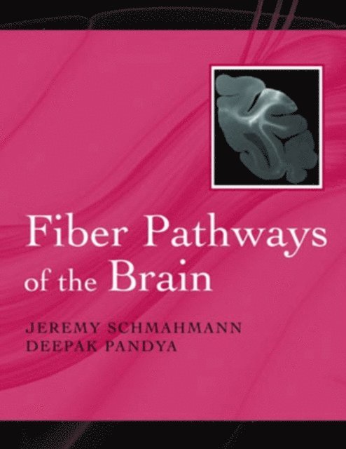 Deepak N. Pandya, Jeremy D. Schmahmann - Fiber Pathways of the Brain, E-bok