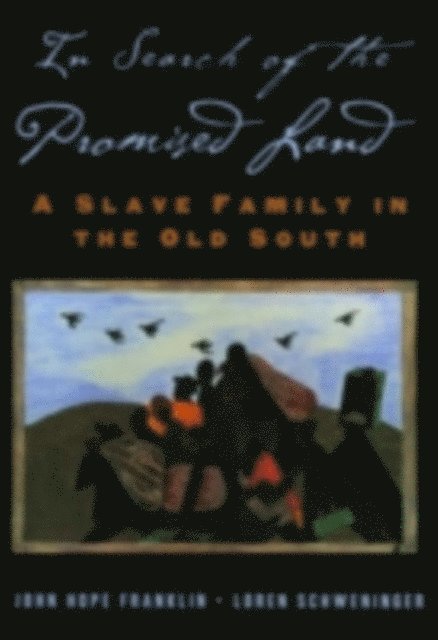 Loren Schweninger, John Hope Franklin - In Search of the Promised Land, E-bok