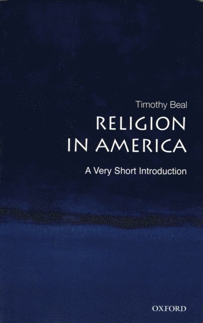 Timothy Beal - Religion in America, E-bok