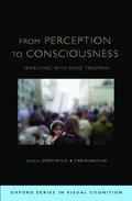 From Perception to Consciousness
