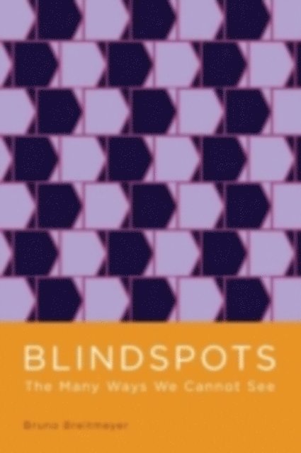 Bruno Breitmeyer - Blindspots, E-bok