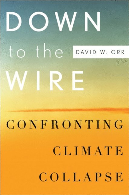 David W. Orr - Down to the Wire, E-bok