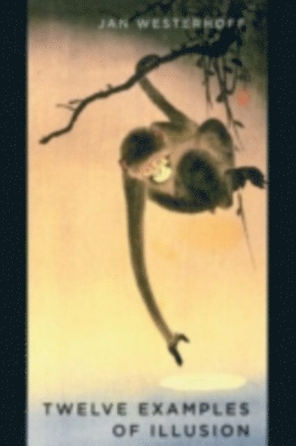 Jan Westerhoff - Twelve Examples of Illusion, E-bok
