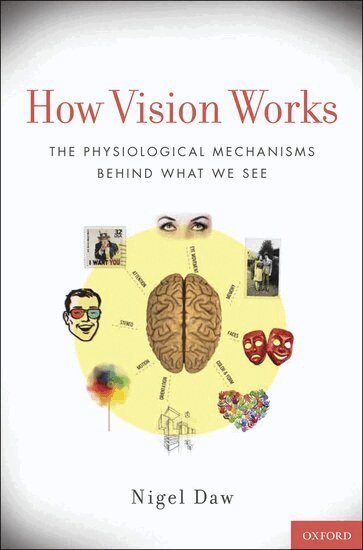 Nigel Daw - How Vision Works, Inbunden. Tillgänglighet: Lägg i varukorg