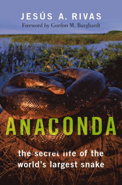Anaconda
