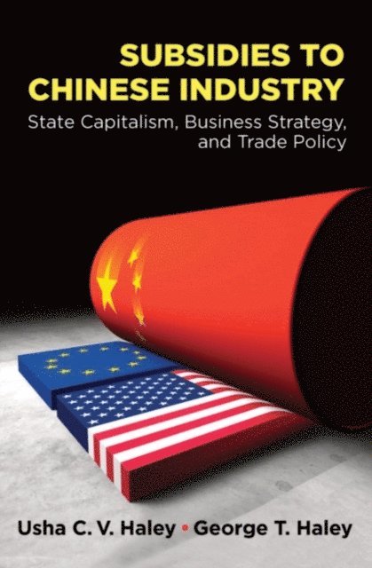 George T. Haley, Usha C.V. Haley - Subsidies to Chinese Industry, E-bok