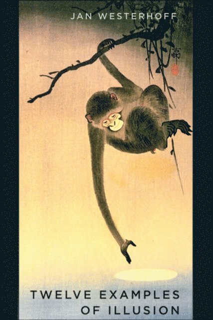 Jan Westerhoff - Twelve Examples of Illusion, E-bok