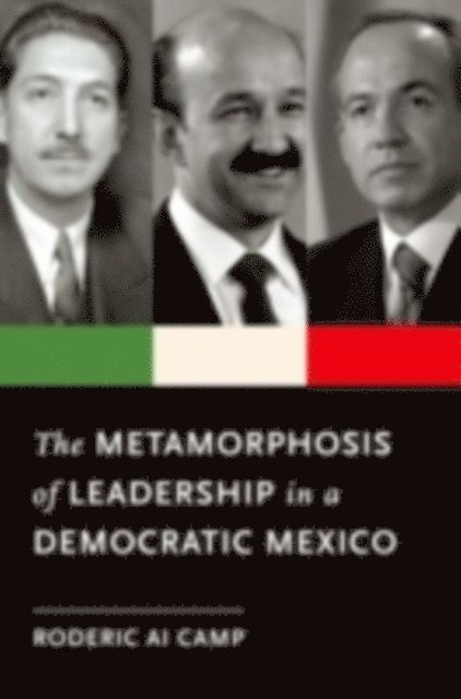 Roderic Ai Camp - Metamorphosis of Leadership in a Democratic Mexico, E-bok