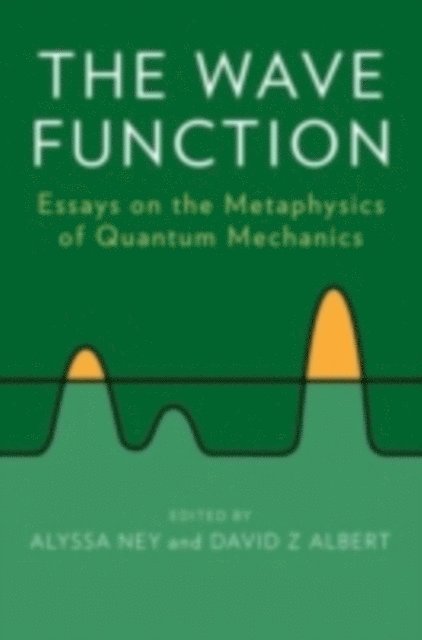 David Z Albert, Alyssa Ney - Wave Function, E-bok