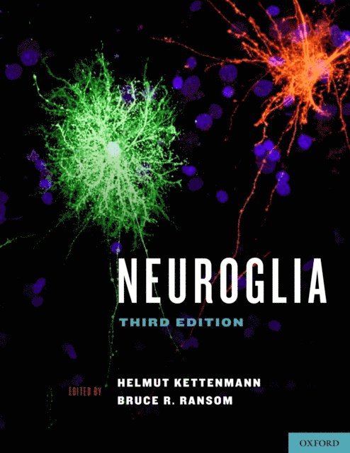 Bruce R. Ransom, Helmut Kettenmann - Neuroglia, E-bok