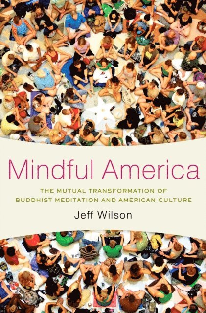 Jeff Wilson - Mindful America, E-bok