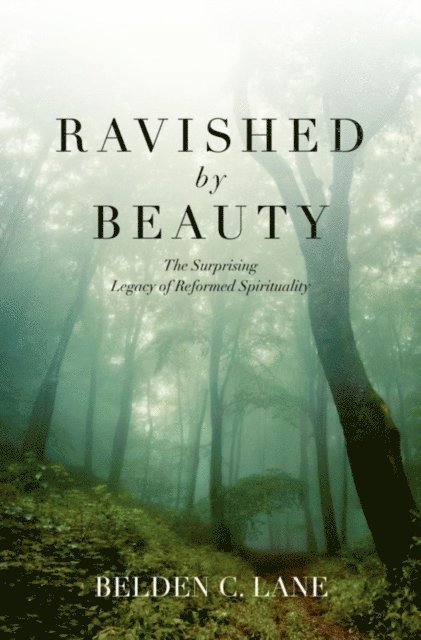 Belden C. Lane - Ravished by Beauty, E-bok