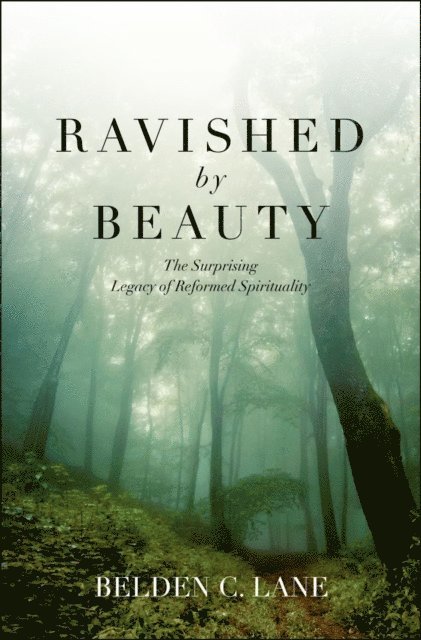 Belden C. Lane - Ravished by Beauty, E-bok
