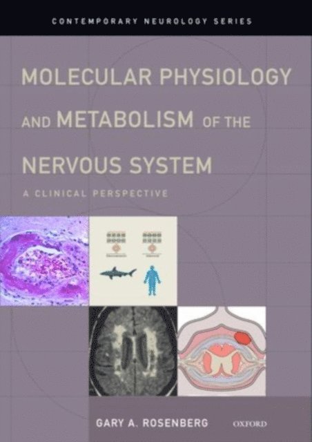 Gary A. Rosenberg - Molecular Physiology and Metabolism of the Nervous System, E-bok