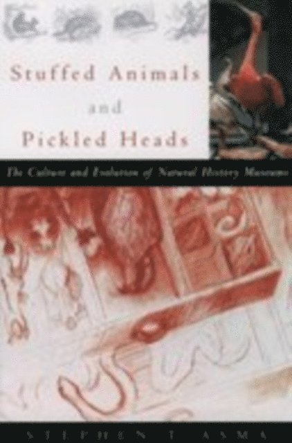 Stephen T. Asma - Stuffed Animals and Pickled Heads, E-bok