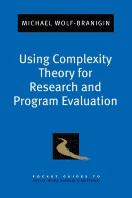 Michael Wolf-Branigin - Using Complexity Theory for Research and Program Evaluation, E-bok