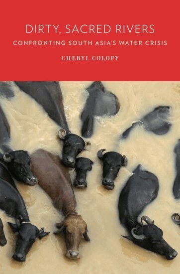 Cheryl Colopy - Dirty, Sacred Rivers, Inbunden. Tillgänglighet: Lägg i varukorg