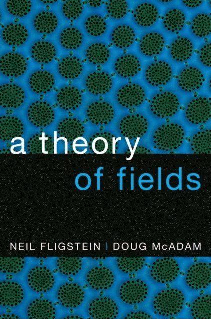 Doug McAdam, Neil Fligstein - Theory of Fields, E-bok
