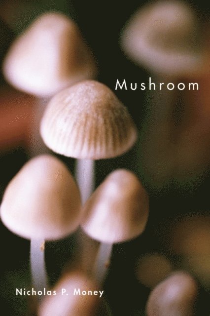 Nicholas P. Money - Mushroom, E-bok