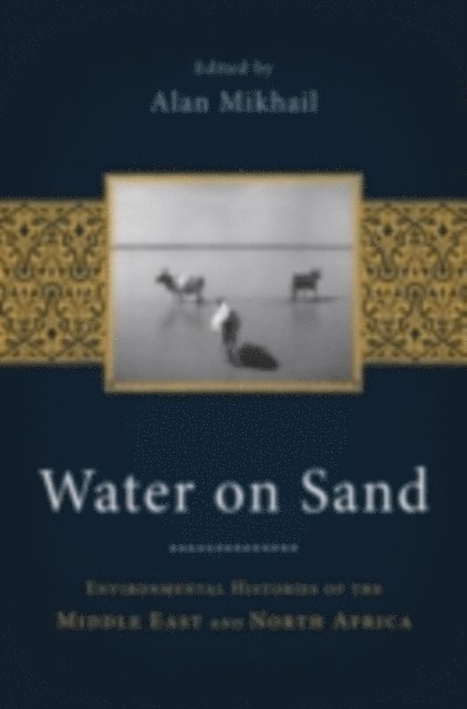 Alan Mikhail - Water on Sand, E-bok