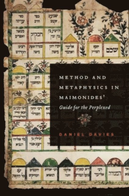Daniel Davies - Method and Metaphysics in Maimonides' Guide for the Perplexed, E-bok