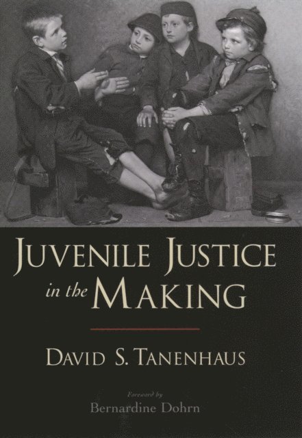 David S. Tanenhaus - Juvenile Justice in the Making, E-bok