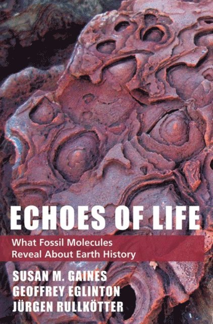 Jurgen Rullkotter, Geoffrey Eglinton, Susan M. Gaines - Echoes of Life, E-bok