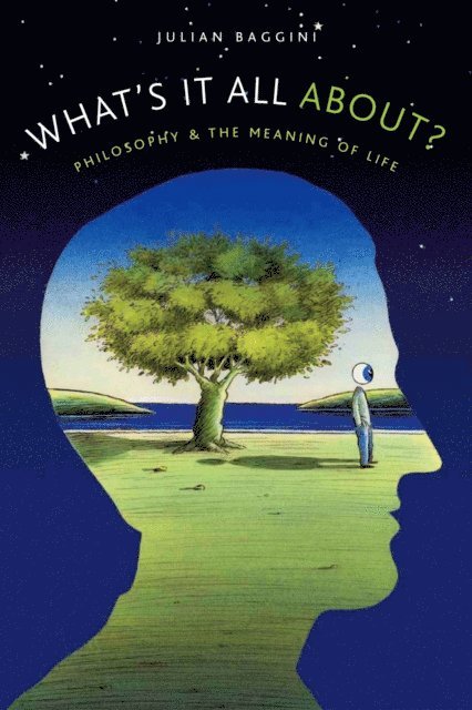 Julian Baggini - What's It All About?, E-bok