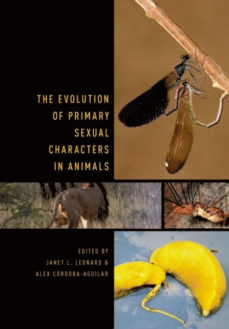 Alex Cordoba-Aguilar, Janet Leonard - Evolution of Primary Sexual Characters in Animals, E-bok