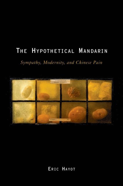 Eric Hayot - Hypothetical Mandarin, E-bok