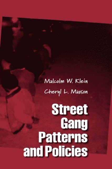 Cheryl L. Maxson, Malcolm W. Klein - Street Gang Patterns and Policies, E-bok