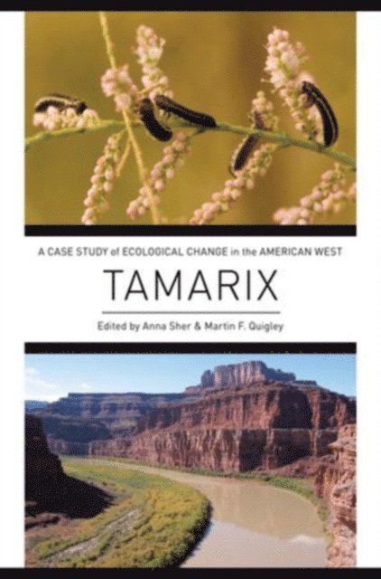 Martin F. Quigley, Anna Sher - Tamarix, E-bok