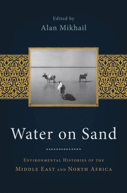 Alan Mikhail - Water on Sand, E-bok