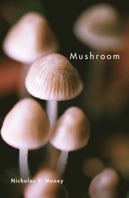 Nicholas P. Money - Mushroom, E-bok