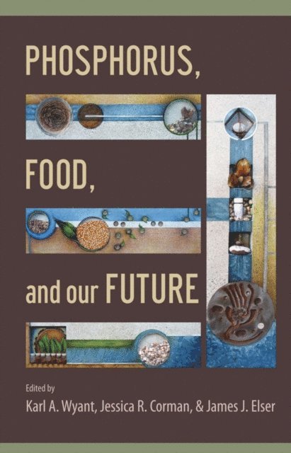 Jim J. Elser, Jessica E. Corman, Karl A. Wyant - Phosphorus, Food, and Our Future, E-bok