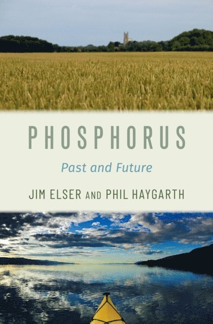 Phil Haygarth, Jim Elser - Phosphorus, E-bok. Tillgänglighet: Lägg i varukorg