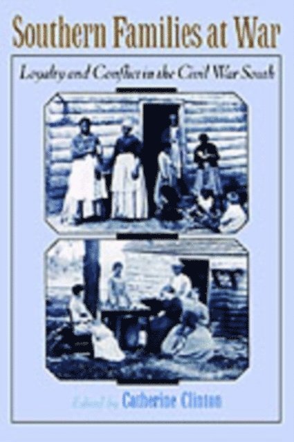 Catherine Clinton - Southern Families at War, E-bok